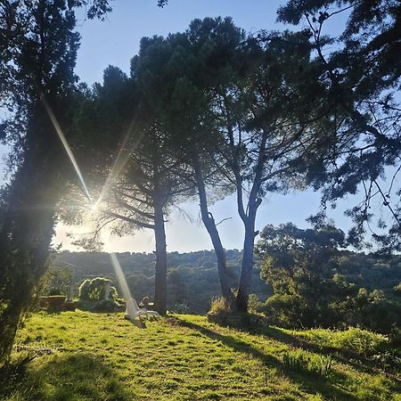 Casa Rural Camino De Hierro I Y II La Fregeneda Buitenkant foto