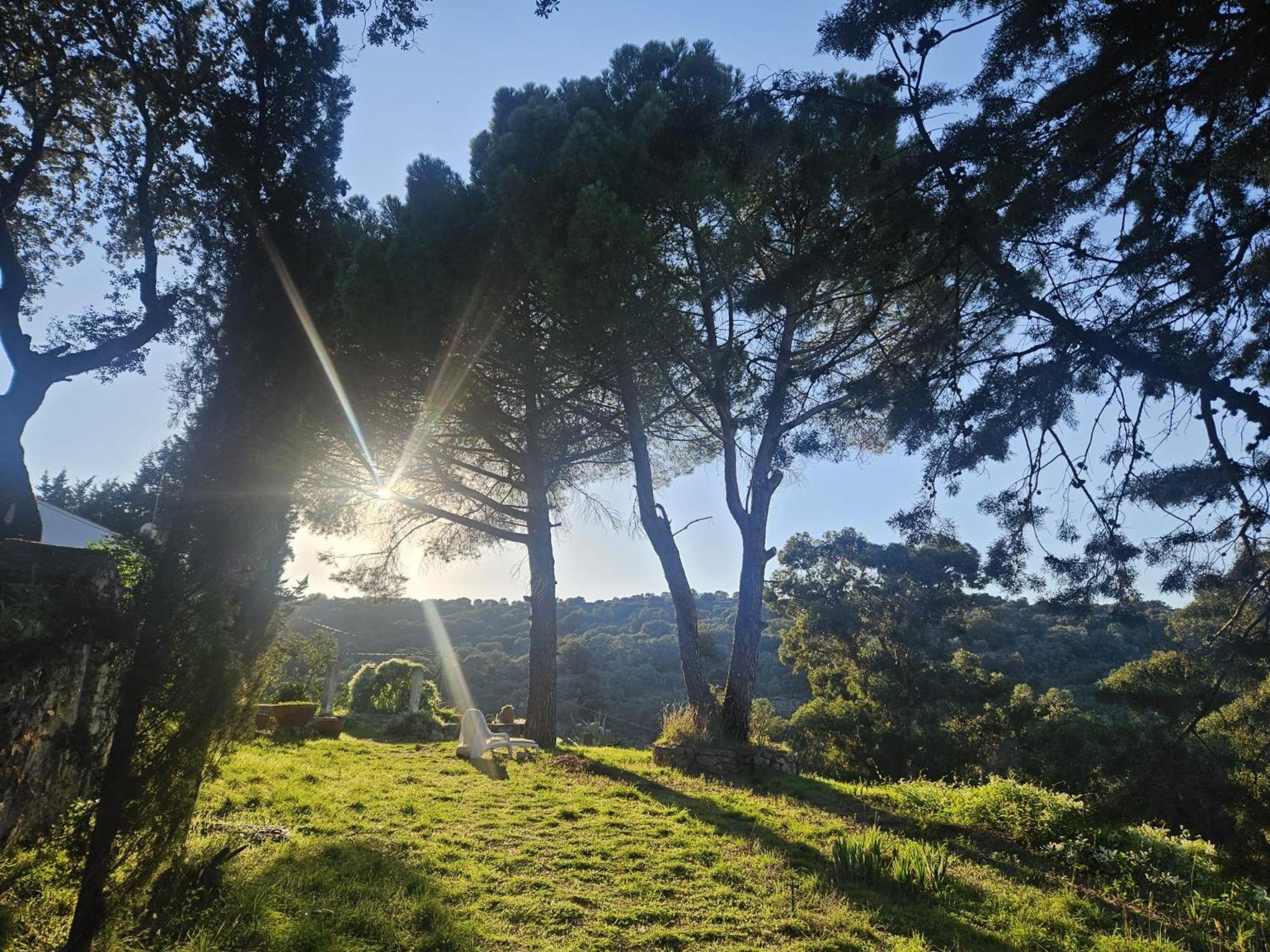 Casa Rural Camino De Hierro I Y II La Fregeneda Buitenkant foto