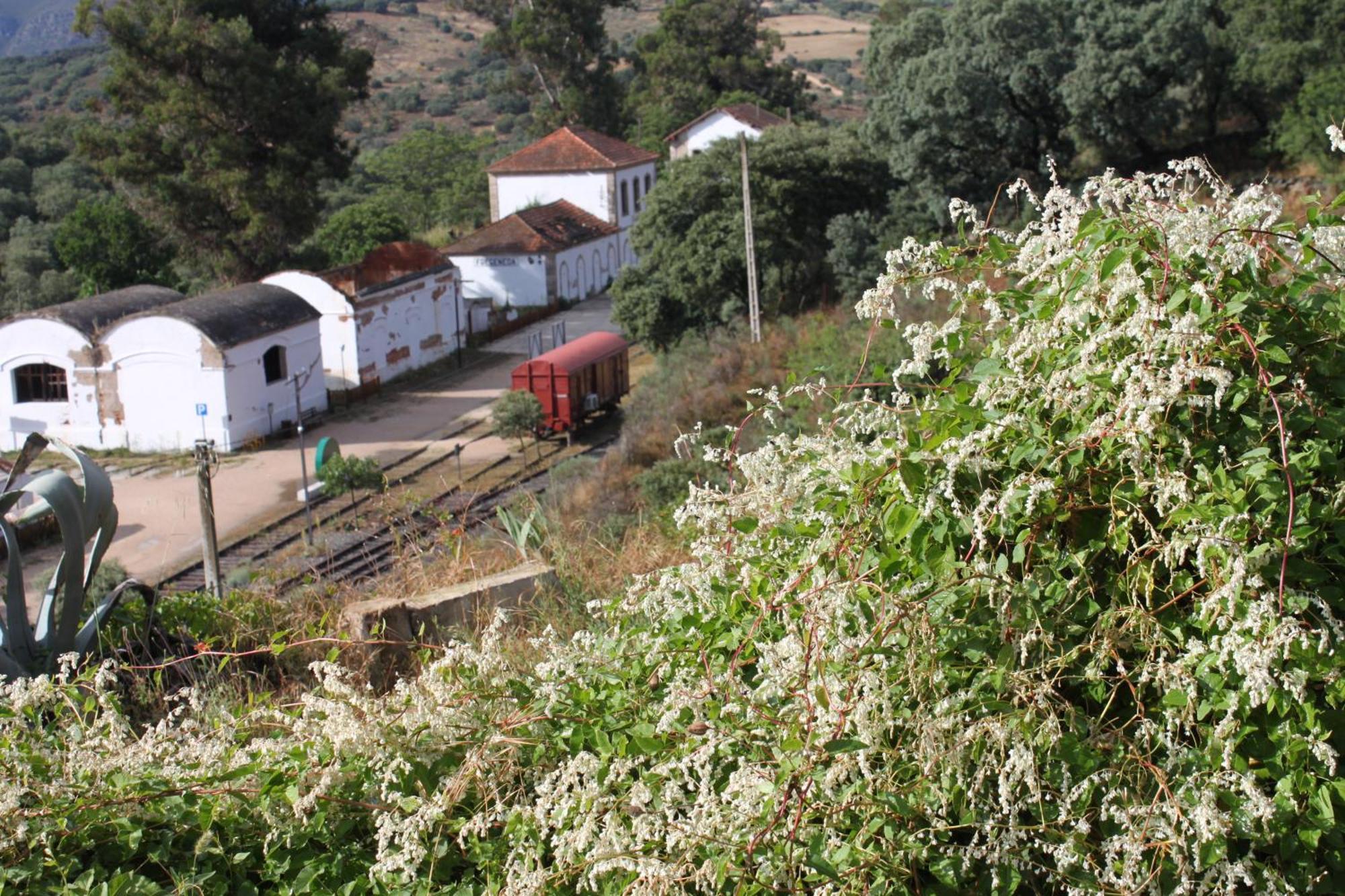 Casa Rural Camino De Hierro I Y II La Fregeneda Buitenkant foto